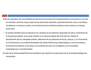 Entre los ejemplos más lamentables de este tipo de amenaza de la biodiversidad se encuentra lo ocurrido
en Australia, donde la mayor parte de las extinciones recientes, particularmente de aves y mamíferos,
se debieron, al menos en parte, a la introducción de mamíferos exóticos como el perro y el conejo
entre otros.
‡ El cambio climático Que se relaciona con cambios en los patrones regionales de clima, incremento de
la temperatura global, que puede resultar en el ascenso global del nivel del mar, debido al
derretimiento de los casquetes polares, alteración de los patrones de lluvia y sequía, y un incremento
en la frecuencia y en el efecto devastador de ciertos fenómenos meteorológicos, como tormentas y
huracanes que afectan a las selvas, los arrecifes de coral, los manglares y los humedales,
importantes por su biodiversidad.
El valor de la biodiversidad Entre los beneficios que reporta la conservación de la diversidad biológica se
encuentran:
 