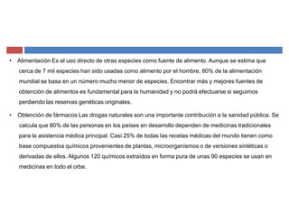 ‡ Alimentación Es el uso directo de otras especies como fuente de alimento. Aunque se estima que
cerca de 7 mil especies han sido usadas como alimento por el hombre, 80% de la alimentación
mundial se basa en un número mucho menor de especies. Encontrar más y mejores fuentes de
obtención de alimentos es fundamental para la humanidad y no podrá efectuarse si seguimos
perdiendo las reservas genéticas originales.
‡ Obtención de fármacos Las drogas naturales son una importante contribución a la sanidad pública. Se
calcula que 80% de las personas en los países en desarrollo dependen de medicinas tradicionales
para la asistencia médica principal. Casi 25% de todas las recetas médicas del mundo tienen como
base compuestos químicos provenientes de plantas, microorganismos o de versiones sintéticas o
derivadas de ellos. Algunos 120 químicos extraídos en forma pura de unas 90 especies se usan en
medicinas en todo el orbe.
 