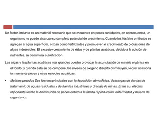 Un factor limitante es un material necesario que se encuentra en pocas cantidades, en consecuencia, un
organismo no puede alcanzar su completo potencial de crecimiento. Cuando los fosfatos o nitratos se
agregan al agua superficial, actúan como fertilizantes y promueven el crecimiento de poblaciones de
algas indeseables. El excesivo crecimiento de éstas y de plantas acuáticas, debido a la adición de
nutrientes, se denomina eutroficación.
Las algas y las plantas acuáticas más grandes pueden provocar la acumulación de materia orgánica en
el fondo, y cuando ésta se descompone, los niveles de oxígeno disuelto disminuyen, lo cual ocasiona
la muerte de peces y otras especies acuáticas.
‡ Metales pesados Sus fuentes principales son la deposición atmosférica, descargas de plantas de
tratamiento de aguas residuales y de fuentes industriales y drenaje de minas. Entre sus efectos
importantes están la disminución de peces debido a la fallida reproducción, enfermedad y muerte de
organismos.
 