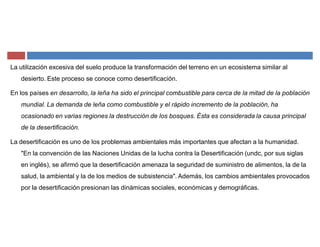 La utilización excesiva del suelo produce la transformación del terreno en un ecosistema similar al
desierto. Este proceso se conoce como desertificación.
En los países en desarrollo, la leña ha sido el principal combustible para cerca de la mitad de la población
mundial. La demanda de leña como combustible y el rápido incremento de la población, ha
ocasionado en varias regiones la destrucción de los bosques. Ésta es considerada la causa principal
de la desertificación.
La desertificación es uno de los problemas ambientales más importantes que afectan a la humanidad.
"En la convención de las Naciones Unidas de la lucha contra la Desertificación (undc, por sus siglas
en inglés), se afirmó que la desertificación amenaza la seguridad de suministro de alimentos, la de la
salud, la ambiental y la de los medios de subsistencia". Además, los cambios ambientales provocados
por la desertificación presionan las dinámicas sociales, económicas y demográficas.
 