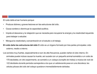 El ruido daña al ser humano porque:
‡ Produce dolores y graves lesiones en las estructuras del oído.
‡ Causa sordera o disminuye la capacidad auditiva.
‡ Impide el descanso y la relajación que se necesita para recuperar la energía y la creatividad requerida
para trabajar o estudiar.
‡ Mengua la creatividad y concentración en el estudio o el trabajo.
El ruido daña las estructuras del oído El oído es un órgano formado por tres partes principales: oído
externo, medio e interno.
Los sonidos muy fuertes, especialmente si son de alta frecuencia, pueden dañar el oído interno. En
animales puede incluso causar la muerte; así sucede con un pequeño animal sometido a un ruido de
170 decibeles; en otro experimento, se sometió a un cobayo (conejillo de Indias) a música de rock de
122 decibeles durante periodos semejantes a los que un adolescente pasa en una discoteca; las
células pilosas del oído del cobayo quedaron irremediablemente dañadas.
 