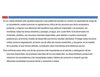 En un medio silvestre sólo aquellas especies cuya población excede en número la capacidad de carga de
un ecosistema, suelen provocar un agotamiento crítico de los recursos que dicho ecosistema
presenta, y originan una alteración del equilibrio cuyo daño es irreparable. Los bosques, las
montañas, todas las áreas silvestres y paisajes, el agua, aire, suelo fértil, la biodiversidad, los
minerales, etcétera, son recursos naturales disponibles, pero debido a nuestro crecimiento
poblacional y al erróneo modelo de desarrollo económico resultan afectados. Proteger estos recursos
vitales contra la degradación, al hacer uso de ellos de manera sostenible, y recuperar, en la medida
de lo posible, lo que hemos dañado, constituyen retos importantes eme debemos asumir.
Para enfrentar estos retos una de las acciones más importantes es el estudio y catalogación de los
recursos disponibles, los procesos naturales de los que dependen, su disponibilidad y producción
natural en los ecosistemas y las necesidades reales, hábitos de consumo e impacto que las
diferentes sociedades humanas tienen y ocasionan a éstos.
 