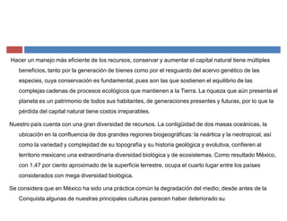 Hacer un manejo más eficiente de los recursos, conservar y aumentar el capital natural tiene múltiples
beneficios, tanto por la generación de bienes como por el resguardo del acervo genético de las
especies, cuya conservación es fundamental, pues son las que sostienen el equilibrio de las
complejas cadenas de procesos ecológicos que mantienen a la Tierra. La riqueza que aún presenta el
planeta es un patrimonio de todos sus habitantes, de generaciones presentes y futuras, por lo que la
pérdida del capital natural tiene costos irreparables.
Nuestro país cuenta con una gran diversidad de recursos. La contigüidad de dos masas oceánicas, la
ubicación en la confluencia de dos grandes regiones biogeográficas: la neártica y la neotropical, así
como la variedad y complejidad de su topografía y su historia geológica y evolutiva, confieren al
territorio mexicano una extraordinaria diversidad biológica y de ecosistemas. Como resultado México,
con 1.47 por ciento aproximado de la superficie terrestre, ocupa el cuarto lugar entre los países
considerados con mega diversidad biológica.
Se considera que en México ha sido una práctica común la degradación del medio; desde antes de la
Conquista algunas de nuestras principales culturas parecen haber deteriorado su
 