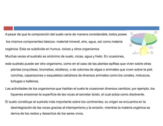 A pesar de que la composición del suelo varía de manera considerable, todos poseen
los mismos componentes básicos: material mineral, aire, agua, así como materia
orgánica. Esta se subdivide en humus, raíces y otros organismos
Muchas veces el sustrato es sinónimo de suelo, rocas, agua y hielo. En ocasiones,
este sustrato puede ser otro organismo, como en el caso de las plantas epifitas que viven sobre otras
plantas (orquídeas, bromelias, etcétera), o de colonias de algas o animales que viven sobre la piel,
conchas, caparazones o esqueletos calcáreos de diversos animales como los corales, moluscos,
tortugas o ballenas.
Las actividades de los organismos que habitan el suelo le ocasionan diversos cambios; por ejemplo, los
líquenes erosionan la superficie de las rocas al secretar ácido, el cual actúa como disolvente.
El suelo constituye el sustrato más importante sobre los continentes; su origen se encuentra en la
desintegración de las rocas gracias al intemperismo y la erosión, mientras la materia orgánica se
deriva de los restos y desechos de los seres vivos.
 