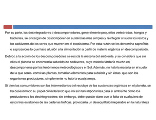 Por su parte, los desintegradores o descomponedores, generalmente pequeños vertebrados, hongos y
bacterias, se encargan de descomponer en sustancias más simples y reintegrar al suelo los restos y
los cadáveres de los seres que mueren en el ecosistema. Por esta razón se les denomina saprofitos
o saprozoicos lo que hace alusión a la alimentación a partir de materia orgánica en descomposición.
Debido a la acción de los descomponedores se recicla la materia del ambiente, y se considera que sin
ellos el planeta se encontraría saturado de cadáveres, cuya materia tardaría mucho en
descomponerse por los fenómenos meteorológicos y el Sol. Además, no habría materia en el suelo
de la que seres, como las plantas, tomarían elementos para subsistir y sin éstas, que son los
organismos productores, simplemente no habría ecosistemas.
Si bien los consumidores son los intermediarios del reciclaje de las sustancias orgánicas en el planeta, se
ha desestimado su papel considerando que no son tan importantes para el ambiente como los
productores o los desintegradores; sin embargo, debe quedar claro que la falta de cualquiera de
estos tres eslabones de las cadenas tróficas, provocaría un desequilibrio irreparable en la naturaleza
 