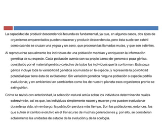La capacidad de producir descendencia fecunda es fundamental, ya que, en algunos casos, dos tipos de
organismos emparentados pueden cruzarse y producir descendencia, pero ésta suele ser estéril
como cuando se cruzan una yegua y un asno, que procrean las llamadas muías, y que son estériles.
Al reproducirse sexualmente los individuos de una población mezclan y enriquecen la información
genética de su especie. Cada población cuenta con su propio banco de genoma o poza génica,
constituido por el material genético colectivo de todos los individuos que la conforman. Esta poza
génica incluye toda la variabilidad genética acumulada en la especie, y representa la posibilidad
potencial que tiene ésta de evolucionar. Sin variación genética ninguna población o especie podría
evolucionar, y en ambientes tan cambiantes como los de nuestro planeta esos organismos pronto se
extinguirían.
Como se revisó con anterioridad, la selección natural actúa sobre los individuos determinando cuáles
sobrevivirán, así es que, los individuos simplemente nacen y mueren y no pueden evolucionar
durante su vida; sin embargo, la población perdura más tiempo. Son las poblaciones, entonces, las
que sufren el cambio evolutivo en el transcurso de muchas generaciones y, por ello, se consideran
actualmente las unidades de estudio de la evolución y de la ecología.
 