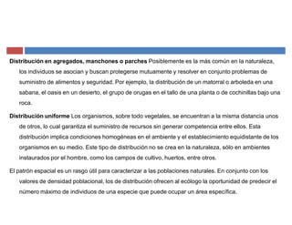 Distribución en agregados, manchones o parches Posiblemente es la más común en la naturaleza,
los individuos se asocian y buscan protegerse mutuamente y resolver en conjunto problemas de
suministro de alimentos y seguridad. Por ejemplo, la distribución de un matorral o arboleda en una
sabana, el oasis en un desierto, el grupo de orugas en el tallo de una planta o de cochinillas bajo una
roca.
Distribución uniforme Los organismos, sobre todo vegetales, se encuentran a la misma distancia unos
de otros, lo cual garantiza el suministro de recursos sin generar competencia entre ellos. Esta
distribución implica condiciones homogéneas en el ambiente y el establecimiento equidistante de los
organismos en su medio. Este tipo de distribución no se crea en la naturaleza, sólo en ambientes
instaurados por el hombre, como los campos de cultivo, huertos, entre otros.
El patrón espacial es un rasgo útil para caracterizar a las poblaciones naturales. En conjunto con los
valores de densidad poblacional, los de distribución ofrecen al ecólogo la oportunidad de predecir el
número máximo de individuos de una especie que puede ocupar un área específica.
 