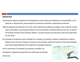 MIGRACIÓN
Capacidad de algunos organismos de desplazarse a otras áreas para satisfacer sus necesidades, como
parte de su reproducción, para escapar de condiciones adversas o rastreando su alimento.
Algunos ejemplos de migración son los de varias especies de ballenas que llegan a las costas de nuestro
país; la del salmón, que asciende desde el mar al continente a contracorriente por los ríos; el viaje de
la mariposa monarca entre Canadá y México, o la gran travesía anual de polo a polo de la golondrina
de mar ártica.
En animales es evidente su gran movilidad, sin embargo, en plantas y hongos su dispersión se debe a
factores como el viento, el agua, e inclusive a los animales, quienes de manera involuntaria trasladan
estructuras especializadas de los organismos vegetales logrando
así su movimiento. Por ejemplo, las esporas y semillas, los
propágulos y fragmentos específicos de ciertos tipos de plantas,
entre otros.
 