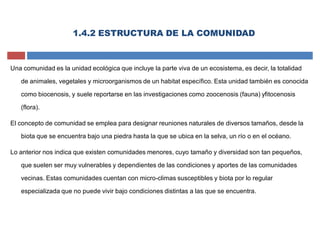 Una comunidad es la unidad ecológica que incluye la parte viva de un ecosistema, es decir, la totalidad
de animales, vegetales y microorganismos de un habitat específico. Esta unidad también es conocida
como biocenosis, y suele reportarse en las investigaciones como zoocenosis (fauna) yfitocenosis
(flora).
El concepto de comunidad se emplea para designar reuniones naturales de diversos tamaños, desde la
biota que se encuentra bajo una piedra hasta la que se ubica en la selva, un río o en el océano.
Lo anterior nos indica que existen comunidades menores, cuyo tamaño y diversidad son tan pequeños,
que suelen ser muy vulnerables y dependientes de las condiciones y aportes de las comunidades
vecinas. Estas comunidades cuentan con micro-climas susceptibles y biota por lo regular
especializada que no puede vivir bajo condiciones distintas a las que se encuentra.
1.4.2 ESTRUCTURA DE LA COMUNIDAD
 