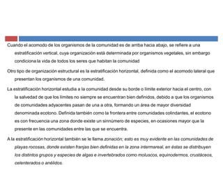 Cuando el acomodo de los organismos de la comunidad es de arriba hacia abajo, se refiere a una
estratificación vertical, cuya organización está determinada por organismos vegetales, sin embargo
condiciona la vida de todos los seres que habitan la comunidad
Otro tipo de organización estructural es la estratificación horizontal, definida como el acomodo lateral que
presentan los organismos de una comunidad.
La estratificación horizontal estudia a la comunidad desde su borde o límite exterior hacia el centro, con
la salvedad de que los límites no siempre se encuentran bien definidos, debido a que los organismos
de comunidades adyacentes pasan de una a otra, formando un área de mayor diversidad
denominada ecotono. Definida también como la frontera entre comunidades colindantes, el ecotono
es con frecuencia una zona donde existe un sinnúmero de especies, en ocasiones mayor que la
presente en las comunidades entre las que se encuentra.
A la estratificación horizontal también se le llama zonación; esto es muy evidente en las comunidades de
playas rocosas, donde existen franjas bien definidas en la zona intermareal, en éstas se distribuyen
los distintos grupos y especies de algas e invertebrados como moluscos, equinodermos, crustáceos,
celenterados o anélidos.
 
