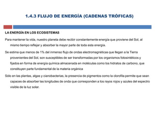 LA ENERGÍA EN LOS ECOSISTEMAS
Para mantener la vida, nuestro planeta debe recibir constantemente energía que proviene del Sol, al
mismo tiempo reflejar y absorber la mayor parte de toda esta energía.
Se estima que menos de 1% del inmenso flujo de ondas electromagnéticas que llegan a la Tierra
provenientes del Sol, son susceptibles de ser transformadas por los organismos fotosintéticos y
fijados en forma de energía química almacenada en moléculas como los hidratos de carbono, que
constituyen parte fundamental de la materia orgánica
Sólo en las plantas, algas y cianobacterias, la presencia de pigmentos como la clorofila permite que sean
capaces de absorber las longitudes de onda que corresponden a los rayos rojos y azules del espectro
visible de la luz solar.
1.4.3 FLUJO DE ENERGÍA (CADENAS TRÓFICAS)
 