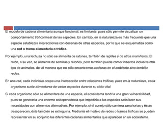 El modelo de cadena alimentaria aunque funcional, es limitante, pues sólo permite visualizar un
comportamiento trófico lineal de las especies. En cambio, en la naturaleza es más frecuente que una
especie establezca interacciones con decenas de otras especies, por lo que se esquematiza como
una red o trama alimentaria o trófica.
Por ejemplo, una lechuza no sólo se alimenta de ratones, también de reptiles y de otros mamíferos. El
ratón, a su vez, se alimenta de semillas y retoños, pero también puede comer insectos inclusive otro
tipo de animales, de tal manera que no sólo encontramos cadenas en el ambiente sino también
redes.
En una red, cada individuo ocupa una intersección entre relaciones tróficas, pues en la naturaleza, cada
organismo suele alimentarse de varias especies durante su ciclo vital.
Si cada organismo sólo se alimentara de una especie, el ecosistema tendría una gran vulnerabilidad,
pues se generaría una enorme codependencia que impediría a las especies satisfacer sus
necesidades con alimentos alternativos. Por ejemplo, si el conejo sólo comiera zanahorias y éstas
desaparecen, éste también se extinguiría. Mediante el modelo de redes o tramas tróficas se pueden
representar en su conjunto las diferentes cadenas alimentarias que aparecen en un ecosistema.
 