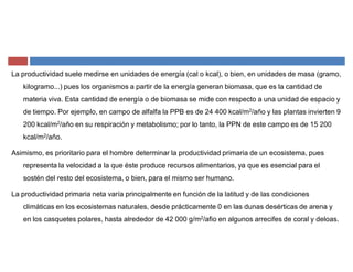 La productividad suele medirse en unidades de energía (cal o kcal), o bien, en unidades de masa (gramo,
kilogramo...) pues los organismos a partir de la energía generan biomasa, que es la cantidad de
materia viva. Esta cantidad de energía o de biomasa se mide con respecto a una unidad de espacio y
de tiempo. Por ejemplo, en campo de alfalfa la PPB es de 24 400 kcal/m2/año y las plantas invierten 9
200 kcal/m2/año en su respiración y metabolismo; por lo tanto, la PPN de este campo es de 15 200
kcal/m2/año.
Asimismo, es prioritario para el hombre determinar la productividad primaria de un ecosistema, pues
representa la velocidad a la que éste produce recursos alimentarios, ya que es esencial para el
sostén del resto del ecosistema, o bien, para el mismo ser humano.
La productividad primaria neta varía principalmente en función de la latitud y de las condiciones
climáticas en los ecosistemas naturales, desde prácticamente 0 en las dunas desérticas de arena y
en los casquetes polares, hasta alrededor de 42 000 g/m2/afio en algunos arrecifes de coral y deloas.
 