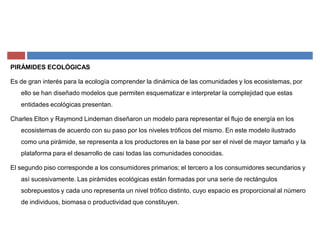 PIRÁMIDES ECOLÓGICAS
Es de gran interés para la ecología comprender la dinámica de las comunidades y los ecosistemas, por
ello se han diseñado modelos que permiten esquematizar e interpretar la complejidad que estas
entidades ecológicas presentan.
Charles Elton y Raymond Lindeman diseñaron un modelo para representar el flujo de energía en los
ecosistemas de acuerdo con su paso por los niveles tróficos del mismo. En este modelo ilustrado
como una pirámide, se representa a los productores en la base por ser el nivel de mayor tamaño y la
plataforma para el desarrollo de casi todas las comunidades conocidas.
El segundo piso corresponde a los consumidores primarios; el tercero a los consumidores secundarios y
así sucesivamente. Las pirámides ecológicas están formadas por una serie de rectángulos
sobrepuestos y cada uno representa un nivel trófico distinto, cuyo espacio es proporcional al número
de individuos, biomasa o productividad que constituyen.
 