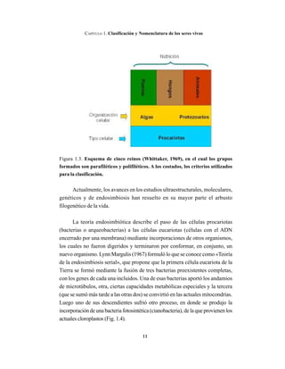 11
CAPÍTULO 1. Clasificación y Nomenclatura de los seres vivos
Figura 1.3. Esquema de cinco reinos (Whittaker, 1969), en el cual los grupos
formados son parafiléticos y polifiléticos. A los costados, los criterios utilizados
para la clasificación.
Actualmente, los avances en los estudios ultraestructurales, moleculares,
genéticos y de endosimbiosis han resuelto en su mayor parte el arbusto
filogenético de la vida.
La teoría endosimbiótica describe el paso de las células procariotas
(bacterias o arqueobacterias) a las células eucariotas (células con el ADN
encerrado por una membrana) mediante incorporaciones de otros organismos,
los cuales no fueron digeridos y terminaron por conformar, en conjunto, un
nuevo organismo. Lynn Margulis (1967) formuló lo que se conoce como «Teoría
de la endosimbiosis serial», que propone que la primera célula eucariota de la
Tierra se formó mediante la fusión de tres bacterias preexistentes completas,
con los genes de cada una incluidos. Una de esas bacterias aportó los andamios
de microtúbulos, otra, ciertas capacidades metabólicas especiales y la tercera
(que se sumó más tarde a las otras dos) se convirtió en las actuales mitocondrias.
Luego uno de sus descendientes sufrió otro proceso, en donde se produjo la
incorporación de una bacteria fotosintética (cianobacteria), de la que provienen los
actuales cloroplastos (Fig. 1.4).
 