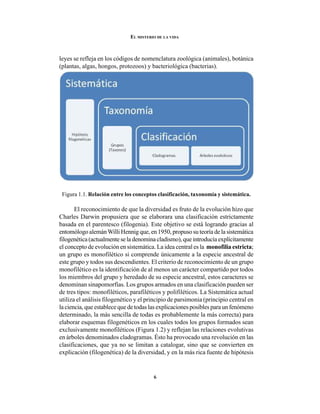 6
EL MISTERIO DE LA VIDA
leyes se refleja en los códigos de nomenclatura zoológica (animales), botánica
(plantas, algas, hongos, protozoos) y bacteriológica (bacterias).
Figura 1.1. Relación entre los conceptos clasificación, taxonomía y sistemática.
El reconocimiento de que la diversidad es fruto de la evolución hizo que
Charles Darwin propusiera que se elaborara una clasificación estrictamente
basada en el parentesco (filogenia). Este objetivo se está logrando gracias al
entomólogo alemánWilli Hennig que, en 1950, propuso su teoría de la sistemática
filogenética(actualmenteseladenominacladismo),queintroducíaexplícitamente
el concepto de evolución en sistemática. La idea central es la monofilia estricta;
un grupo es monofilético si comprende únicamente a la especie ancestral de
este grupo y todos sus descendientes. El criterio de reconocimiento de un grupo
monofilético es la identificación de al menos un carácter compartido por todos
los miembros del grupo y heredado de su especie ancestral, estos caracteres se
denominan sinapomorfías. Los grupos armados en una clasificación pueden ser
de tres tipos: monofiléticos, parafiléticos y polifiléticos. La Sistemática actual
utiliza el análisis filogenético y el principio de parsimonia (principio central en
la ciencia, que establece que de todas las explicaciones posibles para un fenómeno
determinado, la más sencilla de todas es probablemente la más correcta) para
elaborar esquemas filogenéticos en los cuales todos los grupos formados sean
exclusivamente monofiléticos (Figura 1.2) y reflejan las relaciones evolutivas
en árboles denominados cladogramas. Ésto ha provocado una revolución en las
clasificaciones, que ya no se limitan a catalogar, sino que se convierten en
explicación (filogenética) de la diversidad, y en la más rica fuente de hipótesis
 