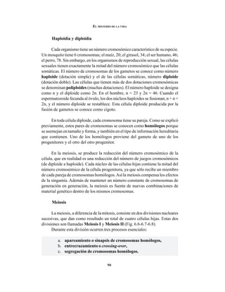 90
EL MISTERIO DE LA VIDA
Haploidía y diploidía
Cada organismo tiene un número cromosómico característico de su especie.
Un mosquito tiene 6 cromosomas; el maíz, 20; el girasol, 34; el ser humano, 46;
el perro, 78. Sin embargo, en los organismos de reproducción sexual, las células
sexuales tienen exactamente la mitad del número cromosómico que las células
somáticas. El número de cromosomas de los gametos se conoce como número
haploide (dotación simple) y el de las células somáticas, número diploide
(dotación doble). Las células que tienen más de dos dotaciones cromosómicas
se denominan poliploides (muchas dotaciones). El número haploide se designa
como n y el diploide como 2n. En el hombre, n = 23 y 2n = 46. Cuando el
espermatozoide fecunda al óvulo, los dos núcleos haploides se fusionan, n + n =
2n, y el número diploide se restablece. Esta célula diploide producida por la
fusión de gametos se conoce como cigoto.
En toda célula diploide, cada cromosoma tiene su pareja. Como se explicó
previamente, estos pares de cromosomas se conocen como homólogos porque
se asemejan en tamaño y forma, y también en el tipo de información hereditaria
que contienen. Uno de los homólogos proviene del gameto de uno de los
progenitores y el otro del otro progenitor.
En la meiosis, se produce la reducción del número cromosómico de la
célula, que en realidad es una reducción del número de juegos cromosómicos
(de diploide a haploide). Cada núcleo de las células hijas contiene la mitad del
número cromosómico de la célula progenitora, ya que sólo recibe un miembro
de cada pareja de cromosomas homólogos.Así la meiosis compensa los efectos
de la singamia. Además de mantener un número constante de cromosomas de
generación en generación, la meiosis es fuente de nuevas combinaciones de
material genético dentro de los mismos cromosomas.
Meiosis
La meiosis, a diferencia de la mitosis, consiste en dos divisiones nucleares
sucesivas, que dan como resultado un total de cuatro células hijas. Estas dos
divisiones son llamadas Meiosis I y Meiosis II (Fig. 6.6-6.7-6.8).
Durante esta división ocurren tres procesos esenciales:
a. apareamiento o sinapsis de cromosomas homólogos,
b. entrecruzamiento o crossing-over,
c. segregación de cromosomas homólogos.
 