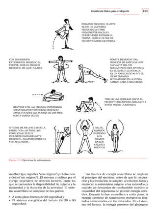 Condición física para el deporte

103

ESTANDO ERGUIDO, SUJETE
EL PIE DE LA PIERNA
FLEXIONADA Y TIRE
FIRMEMENTE HACIA EL
CUERPO PARA ESTIRAR LA
PIERNA. REPITA UN PAR DE
VECES Y CAMBIE DE PIERNA.

CON LOS BRAZOS
EXTENDIDOS, MIRANDO AL
FRENTE, GIRE EL TRONCO
DESPACIO DE LADO A LADO.

ADOPTE DESPACIO UNA
POSICIÓN DE ZANCADA CON
LA PLANTA DEL PIE
ADELANTADO BIEN APOYADA
EN EL SUELO, LA RODILLA
EN UN ÁNGULO DE 90 % Y EL
PIE RETRASADO
APOYÁNDOSE EN LA PUNTA.
CAMBIE CADA 5 SEGUNDOS.

TIRE DE LAS RODILLAS HACIA EL
PECHO Y COLÚMPIESE ADELANTE Y
ATRÁS SOBRE LA ESPALDA.
SIÉNTESE CON LAS PIERNAS EXTENDIDAS
HACIA DELANTE Y ESTÍRESE DESPACIO
HASTA TOCARSE LAS PUNTAS DE LOS PIES.
REPITA VARIAS VECES.

SITÚESE DE PIE A 90 CM DE LA
PARED CON LOS TOBILLOS
PEGADOS AL SUELO,
INCLÍNESE HACIA DELANTE
DESPACIO, AGUANTE ENTRE 15
Y 20 SEGUNDOS...

SALTE,
TAMBIÉN,
BATIENDO
LOS
BRAZOS
EN LOS
CALENTA
MIENTOS

Figura 11.1 Ejercicios de estiramiento.

aeróbico (que significa “con oxígeno”) y el otro anaeróbico (“sin oxígeno”). El sistema a utilizar por el
cuerpo dependerá de diversos factores, entre los
que se encuentra la disponibilidad de oxígeno y la
intensidad y la duración de la actividad. El sistema anaeróbico se compone de dos partes:
• A corto plazo (menos de 30 segundos) y
• El sistema energético del lactato (de 30 a 90
segundos).

Las fuentes de energía anaeróbica se emplean
al principio del ejercicio, antes de que la respiración y la circulación se adapten al esfuerzo físico y
empiecen a suministrar oxígeno a los músculos, y
cuando las demandas de combustible exceden la
capacidad del organismo de generar energía aeróbica. Durante la fase anaeróbica a corto plazo, la
energía proviene de suministros energéticos limitados almacenados en los músculos. En el sistema del lactato, la energía proviene del glucógeno

 