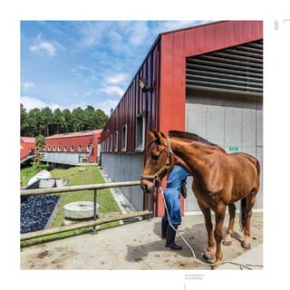 Equidad territorial en Medellín - la Empresa de Desarrollo Urbano EDU como motor de la transformación urbana