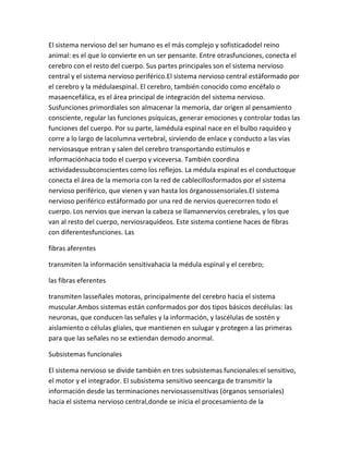 El sistema nervioso del ser humano es el más complejo y sofisticadodel reino
animal: es el que lo convierte en un ser pensante. Entre otrasfunciones, conecta el
cerebro con el resto del cuerpo. Sus partes principales son el sistema nervioso
central y el sistema nervioso periférico.El sistema nervioso central estáformado por
el cerebro y la médulaespinal. El cerebro, también conocido como encéfalo o
masaencefálica, es el área principal de integración del sistema nervioso.
Susfunciones primordiales son almacenar la memoria, dar origen al pensamiento
consciente, regular las funciones psíquicas, generar emociones y controlar todas las
funciones del cuerpo. Por su parte, lamédula espinal nace en el bulbo raquídeo y
corre a lo largo de lacolumna vertebral, sirviendo de enlace y conducto a las vías
nerviosasque entran y salen del cerebro transportando estímulos e
informaciónhacia todo el cuerpo y viceversa. También coordina
actividadessubconscientes como los reflejos. La médula espinal es el conductoque
conecta el área de la memoria con la red de cablecillosformados por el sistema
nervioso periférico, que vienen y van hasta los órganossensoriales.El sistema
nervioso periférico estáformado por una red de nervios querecorren todo el
cuerpo. Los nervios que inervan la cabeza se llamannervios cerebrales, y los que
van al resto del cuerpo, nerviosraquídeos. Este sistema contiene haces de fibras
con diferentesfunciones. Las

fibras aferentes

transmiten la información sensitivahacia la médula espinal y el cerebro;

las fibras eferentes

transmiten lasseñales motoras, principalmente del cerebro hacia el sistema
muscular.Ambos sistemas están conformados por dos tipos básicos decélulas: las
neuronas, que conducen las señales y la información, y lascélulas de sostén y
aislamiento o células gliales, que mantienen en sulugar y protegen a las primeras
para que las señales no se extiendan demodo anormal.

Subsistemas funcionales

El sistema nervioso se divide también en tres subsistemas funcionales:el sensitivo,
el motor y el integrador. El subsistema sensitivo seencarga de transmitir la
información desde las terminaciones nerviosassensitivas (órganos sensoriales)
hacia el sistema nervioso central,donde se inicia el procesamiento de la
 
