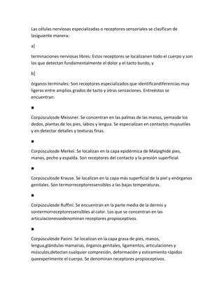 Las células nerviosas especializadas o receptores sensoriales se clasifican de
lasiguiente manera:

a]

terminaciones nerviosas libres: Estos receptores se localizanen todo el cuerpo y son
los que detectan fundamentalmente el dolor y el tacto burdo, y

b]

órganos terminales: Son receptores especializados que identificandiferencias muy
ligeras entre amplios grados de tacto y otras sensaciones. Entreéstos se
encuentran:

■

Corpúsculosde Meissner. Se concentran en las palmas de las manos, yemasde los
dedos, plantas de los pies, labios y lengua. Se especializan en contactos muysutiles
y en detectar detalles y texturas finas.

■

Corpúsculosde Merkei. Se localizan en la capa epidérmica de Malpighide pies,
manos, pecho y espalda. Son receptores del contacto y la presión superficial.

■

Corpúsculosde Krause. Se localizan en la capa más superficial de la piel y enórganos
genitales. Son termorreceptoressensibles a las bajas temperaturas.

■

Corpúsculosde Ruffini. Se encuentran en la parte media de la dermis y
sontermorreceptoressensibles al calor. Los que se concentran en las
articulacionessedenominan receptores propioceptivos.

■

Corpúsculosde Pacini. Se localizan en la capa grasa de pies, manos,
lengua,glándulas mamarias, órganos genitales, ligamentos, articulaciones y
músculos;detectan cualquier compresión, deformación y estiramiento rápidos
queexperimente el cuerpo. Se denominan receptores propioceptivos.
 