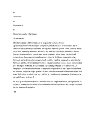 ■

Tendones

■

Ligamentos

■

Sistemamuscular •Cartílagos

Sistema óseo

El sistema óseo estáformado por el esqueleto humano. Posee
aproximadamente206 huesos y cumple muchas funciones primordiales. Es el
armazón del cuerpo,que contiene los órganos internos y sirve como soporte de los
músculos, nerviosy tendones, es decir, del aparato locomotor; la médula de los
huesos producecélulas sanguíneas, almacena sales minerales y transmite el
movimiento de unsegmento del cuerpo a otro. Se divide en esqueleto axial,
formado por cráneo,columna vertebral, costillas y pelvis, y esqueleto apendicular,
formado por lasextremidades inferiores y superiores.Los huesos están constituidos
por dos tipos de tejido, el tejido óseo esponjosoy el tejido óseo compacto.Las
etapas de crecimiento del hueso se determinan por la edad dela persona.Primero
es mucosa, luego cartílago que se calcifica paulatinamente hastaalcanzar el estado
óseo definitivo, alrededor de los 25 años, y, con el aumento deedad, los huesos se
descalcifican y sefigura 8.

En este grabado del anatomista alemán Bernard SiegfriedAlbinus, del siglo xvm, se
muestra una representacióncasi exacta del sistemaesquelético del cuerpo humano.
factor anatomofisiológico

-41
 