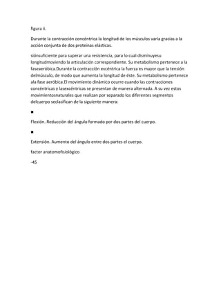 figura ii.

Durante la contracción concéntrica la longitud de los músculos varía gracias a la
acción conjunta de dos proteínas elásticas.

siónsuficiente para superar una resistencia, para lo cual disminuyesu
longitudmoviendo la articulación correspondiente. Su metabolismo pertenece a la
faseaeróbica.Durante la contracción excéntrica la fuerza es mayor que la tensión
delmúsculo, de modo que aumenta la longitud de éste. Su metabolismo pertenece
ala fase aeróbica.El movimiento dinámico ocurre cuando las contracciones
concéntricas y lasexcéntricas se presentan de manera alternada. A su vez estos
movimientosnaturales que realizan por separado los diferentes segmentos
delcuerpo seclasifican de la siguiente manera:

■

Flexión. Reducción del ángulo formado por dos partes del cuerpo.

■

Extensión. Aumento del ángulo entre dos partes el cuerpo.

factor anatomofisiológico

-45
 
