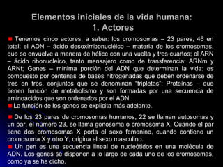 Elementos iniciales de la vida humana:Elementos iniciales de la vida humana:
1. Actores1. Actores
Tenemos cinco actores, a saber: los cromosomas – 23 pares, 46 en
total; el ADN – ácido desoxirribonucléico – materia de los cromosomas,
que se envuelve a manera de hélice con una vuelta y tres cuartos; el ARN
– ácido ribonucleico, tanto mensajero como de transferencia: ARNm y
ARNt; Genes – mínima porción del ADN que determinan la vida: es
compuesto por centenas de bases nitrogenadas que deben ordenarse de
tres en tres, conjuntos que se denominan “tripletas”; Proteínas – que
tienen función de metabolismo y son formadas por una secuencia de
aminoácidos que son ordenados por el ADN.
La función de los genes se explicita más adelante.
De los 23 pares de cromosomas humanos, 22 se llaman autosomas y
un par, el número 23, se llama gonosoma o cromosoma X. Cuando el par
tiene dos cromosomas X porta el sexo femenino, cuando contiene un
cromosoma X y otro Y, origina el sexo masculino.
Un gen es una secuencia lineal de nucleótidos en una molécula de
ADN. Los genes se disponen a lo largo de cada uno de los cromosomas,
como ya se ha dicho.
 