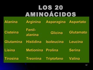 LOS 20LOS 20
AMINOÁCIDOSAMINOÁCIDOS
AlaninaAlanina ArgininaArginina AsparaginaAsparagina AspartatoAspartato
CisteinaCisteina
Fenil-Fenil-
alaninaalanina GlicinaGlicina GlutamatoGlutamato
GlutaminaGlutamina HistidinaHistidina IsoleucinaIsoleucina LeucinaLeucina
LisinaLisina MetioninaMetionina ProlinaProlina SerinaSerina
TirosinaTirosina TreoninaTreonina TriptofanoTriptofano ValinaValina
167167
 