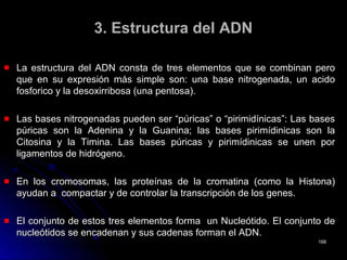 3. Estructura del ADN3. Estructura del ADN
La estructura del ADN consta de tres elementos que se combinan peroLa estructura del ADN consta de tres elementos que se combinan pero
que en su expresión más simple son: una base nitrogenada, un acidoque en su expresión más simple son: una base nitrogenada, un acido
fosforico y la desoxirribosa (una pentosa).fosforico y la desoxirribosa (una pentosa).
Las bases nitrogenadas pueden ser “púricas” o “pirimidínicas”: Las basesLas bases nitrogenadas pueden ser “púricas” o “pirimidínicas”: Las bases
púricas son la Adenina y la Guanina; las bases pirimídinicas son lapúricas son la Adenina y la Guanina; las bases pirimídinicas son la
Citosina y la Timina. Las bases púricas y pirimídinicas se unen porCitosina y la Timina. Las bases púricas y pirimídinicas se unen por
ligamentos de hidrógeno.ligamentos de hidrógeno.
En los cromosomas, las proteínas de la cromatina (como la Histona)En los cromosomas, las proteínas de la cromatina (como la Histona)
ayudan a compactar y de controlar la transcripción de los genes.ayudan a compactar y de controlar la transcripción de los genes.
El conjunto de estos tres elementos forma un Nucleótido. El conjunto deEl conjunto de estos tres elementos forma un Nucleótido. El conjunto de
nucleótidos se encadenan y sus cadenas forman el ADN.nucleótidos se encadenan y sus cadenas forman el ADN.
168168
 