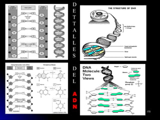 D
E
T
T
A
L
L
E
S
D
E
L
AA
DD
NN
170170
 