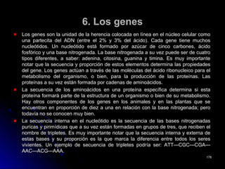6. Los genes6. Los genes
Los genes son la unidad de la herencia colocada en línea en el núcleo celular comoLos genes son la unidad de la herencia colocada en línea en el núcleo celular como
una partecita del ADN (entre el 2% y 3% del ácido). Cada gene tiene muchosuna partecita del ADN (entre el 2% y 3% del ácido). Cada gene tiene muchos
nucleótidos. Un nucleótido está formado por azúcar de cinco carbones, ácidonucleótidos. Un nucleótido está formado por azúcar de cinco carbones, ácido
fosfórico y una base nitrogenada. La base nitrogenada a su vez puede ser de cuatrofosfórico y una base nitrogenada. La base nitrogenada a su vez puede ser de cuatro
tipos diferentes, a saber: adenina, citosina, guanina y timina. Es muy importantetipos diferentes, a saber: adenina, citosina, guanina y timina. Es muy importante
notar que la secuencia y proporción de estos elementos determina las propiedadesnotar que la secuencia y proporción de estos elementos determina las propiedades
del gene. Los genes actúan a través de las moléculas del ácido ribonucleico para eldel gene. Los genes actúan a través de las moléculas del ácido ribonucleico para el
metabolismo del organismo, o bien, para la producción de las proteínas. Lasmetabolismo del organismo, o bien, para la producción de las proteínas. Las
proteínas a su vez están formada por cadenas de aminoácidos.proteínas a su vez están formada por cadenas de aminoácidos.
La secuencia de los aminoácidos en una proteína específica determina si estaLa secuencia de los aminoácidos en una proteína específica determina si esta
proteína formará parte de la estructura de un organismo o bien de su metabolismo.proteína formará parte de la estructura de un organismo o bien de su metabolismo.
Hay otros componentes de los genes en los animales y en las plantas que seHay otros componentes de los genes en los animales y en las plantas que se
encuentran en proporción de diez a una en relación con la base nitrogenada; peroencuentran en proporción de diez a una en relación con la base nitrogenada; pero
todavía no se conocen muy bien.todavía no se conocen muy bien.
La secuencia interna en el nucleótido es la secuencia de las bases nitrogenadasLa secuencia interna en el nucleótido es la secuencia de las bases nitrogenadas
purícas y pirimídicas que a su vez están formadas en grupos de tres, que reciben elpurícas y pirimídicas que a su vez están formadas en grupos de tres, que reciben el
nombre de tripletes. Es muy importante notar que la secuencia interna y externa denombre de tripletes. Es muy importante notar que la secuencia interna y externa de
estas bases y su proporción es la que marca la diferencia entre todos los seresestas bases y su proporción es la que marca la diferencia entre todos los seres
vivientes. Un ejemplo de secuencia de tripletes podría ser: ATT---CGC---CGA---vivientes. Un ejemplo de secuencia de tripletes podría ser: ATT---CGC---CGA---
AAC---ACG---AAA.AAC---ACG---AAA.
178178
 