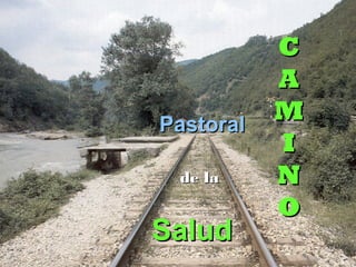 CC
AA
MM
II
NN
OO
PastoralPastoral
de lade la
6565
SaludSalud
 