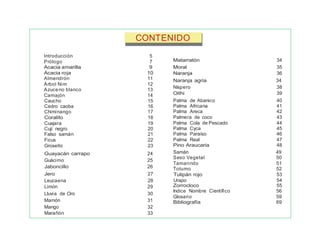 CONTENIDO
Introducción 5
Prólogo 7
Acacia amarilla 9
Acacia roja 10
Almendrón 11
Árbol Nim 12
Azuceno blanco 13
Camajón 14
Caucho 15 Palma de Abanico 40
Cedro caoba 16 Palma Africana 41
Chiminango 17 Palma Areca 42
Coralito 18 Palmera de coco 43
Cuajara 19 Palma Cola de Pescado 44
Cují negro 20 Palma Cyca 45
Falso samán 21 Palma Paraíso 46
Ficus 22 Palma Real 47
Grosello 23 Pino Araucaria 48
Samán 49
Seso Vegetal 50
Tamarindo 51
Totumo 52
Jero 27 Tulipán rojo 53
Leucaena 28 Urapo 54
Limón 29
Lluvia de Oro 30
Mamón 31
Mango 32
Marañón 33
Zorrocloco 55
Indice Nombre Científico 56
Glosario 59
Bibliografía 69
Guayacán carrapo 24
Guácimo 25
Jaboncillo 26
Matarratón 34
Moral 35
Naranja 36
Naranja agria 34
Níspero 38
Oithi 39
 