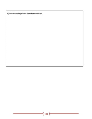 VI) Beneficios esperados de la flexibilización




                                                 128
 