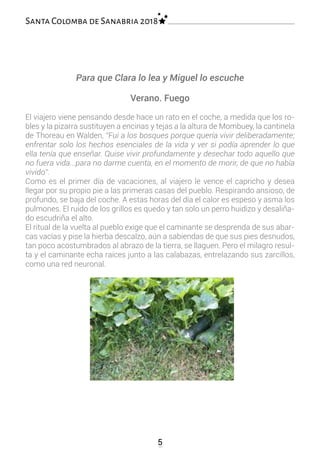 5
Para que Clara lo lea y Miguel lo escuche
Verano. Fuego
El viajero viene pensando desde hace un rato en el coche, a medida que los ro-
bles y la pizarra sustituyen a encinas y tejas a la altura de Mombuey, la cantinela
de Thoreau en Walden, “Fui a los bosques porque quería vivir deliberadamente;
enfrentar solo los hechos esenciales de la vida y ver si podía aprender lo que
ella tenía que enseñar. Quise vivir profundamente y desechar todo aquello que
no fuera vida...para no darme cuenta, en el momento de morir, de que no había
vivido”.
Como es el primer día de vacaciones, al viajero le vence el capricho y desea
llegar por su propio pie a las primeras casas del pueblo. Respirando ansioso, de
profundo, se baja del coche. A estas horas del día el calor es espeso y asma los
pulmones. El ruido de los grillos es quedo y tan solo un perro huidizo y desaliña-
do escudriña el alto.
El ritual de la vuelta al pueblo exige que el caminante se desprenda de sus abar-
cas vacías y pise la hierba descalzo, aún a sabiendas de que sus pies desnudos,
tan poco acostumbrados al abrazo de la tierra, se llaguen. Pero el milagro resul-
ta y el caminante echa raíces junto a las calabazas, entrelazando sus zarcillos,
como una red neuronal.
Santa Colomba de Sanabria 2018
 