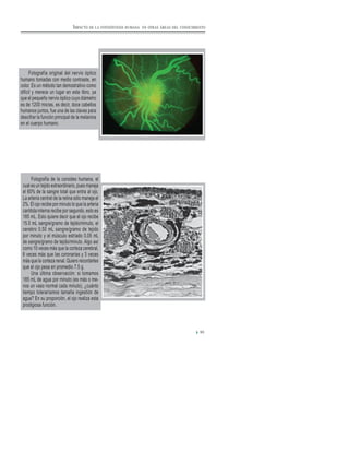 Fotografía original del nervio óptico
humano tomadas con medio contraste, en
color. Es un método tan demostrativo como
difícil y merece un lugar en este libro, ya
que el pequeño nervio óptico cuyo diámetro
es de 1200 micras, es decir, doce cabellos
humanos juntos, fue una de las claves para
descifrar la función principal de la melanina
en el cuerpo humano.
Fotografía de la coroides humana, el
cual es un tejido extraordinario, pues maneja
el 60% de la sangre total que entra al ojo.
La arteria central de la retina sólo maneja el
2%. El ojo recibe por minuto lo que la arteria
carótida interna recibe por segundo, esto es
185 mL. Esto quiere decir que el ojo recibe
15.0 mL sangre/gramo de tejido/minuto, el
cerebro 0.50 mL sangre/gramo de tejido
por minuto y el músculo estriado 0.05 mL
de sangre/gramo de tejido/minuto. Algo así
como 10 veces más que la corteza cerebral,
6 veces más que las coronarias y 3 veces
más que la corteza renal. Quiero recordarles
que el ojo pesa en promedio 7.5 g.
Una última observación: si tomamos
185 mL de agua por minuto (es más o me-
nos un vaso normal cada minuto), ¿cuánto
tiempo toleraríamos tamaña ingestión de
agua? En su proporción, el ojo realiza esta
prodigiosa función.
93
IMPACTO DE LA FOTOSÍNTESIS HUMANA EN OTRAS ÁREAS DEL CONOCIMIENTO
 