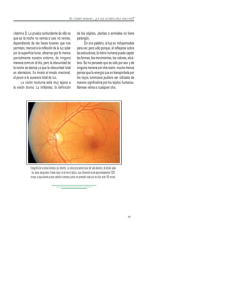 vitamina D. La prueba contundente de ello es
que en la noche no vemos o casi no vemos,
dependiendo de las fases lunares que nos
permiten, merced a la reflexión de la luz solar
por la superficie lunar, observar por lo menos
parcialmente nuestro entorno, de ninguna
manera como en el día, pero la obscuridad de
la noche se atenúa ya que la obscuridad total
es aterradora. Es innato el miedo irracional,
el pavor a la ausencia total de luz.
La visión nocturna está muy lejana a
la visión diurna. La brillantez, la definición
de los objetos, plantas o animales no tiene
parangón.
En una palabra, la luz es indispensable
para ver, pero sólo porque, al reflejarse sobre
las estructuras, la retina humana puede captar
las formas, los movimientos, los colores, etcé-
tera. Se ha pensado que es sólo por eso y de
ninguna manera por otra razón, mucho menos
pensar que la energía que es transportada por
los rayos luminosos pudiera ser utilizada de
manera significativa por los tejidos humanos,
llámese retina o cualquier otra.
9
Fotografía de la retina humana, ojo derecho. La estructura semicircular del lado derecho, de donde salen
los vasos sanguíneos (líneas rojas) es el nervio óptico, cuya dimensión es de aproximadamente 1200
micras, el equivalente a doce cabellos humanos juntos; en promedio cada uno de ellos mide 100 micras.
AL CUERPO HUMANO , ¿LA LUZ LE SIRVE SÓLO PARA VER?
 