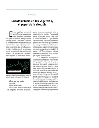 E
l reino vegetal y el reino animal
tienen diferencias sustanciales y
una de ellas es que los vegetales
son capaces de transformar la energía fotónica
en energía química, y los humanos o animales
no. Por lo menos, hasta ahora eso se creía. La
fotosíntesis tiene un primer paso imprescind-
ible y trascendental, que es la disociación,
partición o desdoblamiento de la molécula de
agua, lo que nos permite obtener hidrógeno y
oxígeno. Es tan importante, que si no sucede,
la vida vegetal no es posible, no se expresa.
La molécula de la clorofila, donde podemos observar el
centro de reacción conformado por 4N (nitrógenos).
¿Pero, por qué es tan
relevante?
Existen varias razones.
1.– Sucede a temperatura ambiente
y esto nos parece tan natural, tan sencillo,
porque observamos que sucede todos los
días en todos los vegetales. Prueba de ello
es que los vegetales florecen y dan frutos,
al parecer sin más que luz y agua. Pero hay
un inconveniente: si queremos reproducir la
partición de la molécula de agua, de manera
que obtengamos hidrógeno y oxígeno, como
en los vegetales, requerimos nada menos que
elevar la temperatura de la misma a 2,000 °C,
ya que a 100 °C solo obtenemos moléculas
de agua en forma de vapor, pero el hidrógeno
y el oxígeno continúan unidos.
2.– El componente valioso para los
vegetales resultante de esta reacción es el
hidrógeno por la sencilla razón de que es un
acarreador de energía, la energía más limpia
que se conoce. La célula vegetal va a utilizar
este valioso hidrógeno para energizar las
reacciones subsecuentes que conllevan a la
síntesis, por ejemplo de glucosa (C6
=H12
=O6
).
Recordemos que las plantas absorben el
bióxido de carbono (CO2
) y, como resultado de
la fotosíntesis, a esta molécula que es la forma
más oxidada del carbono, la célula vegetal
le agrega hidrógenos principalmente, pues
a cada molécula de bióxido de carbono los
vegetales le agregan 12 átomos de hidrógeno y
4 de oxígeno para formar la principal fuente de
La fotosíntesis en los vegetales,
el papel de la cloroﬁla
CAPÍTULO 3
11
 