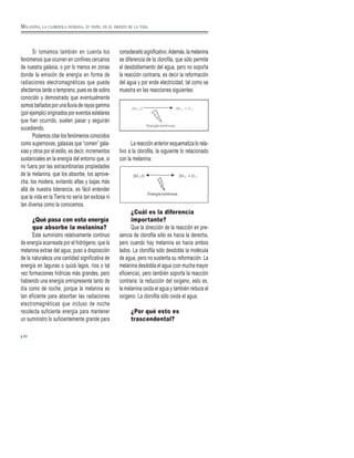 Si tomamos también en cuenta los
fenómenos que ocurren en confines cercanos
de nuestra galaxia, o por lo menos en zonas
donde la emisión de energía en forma de
radiaciones electromagnéticas que puede
afectarnos tarde o temprano, pues es de sobra
conocido y demostrado que eventualmente
somos bañados por una lluvia de rayos gamma
(por ejemplo) originados por eventos estelares
que han ocurrido, suelen pasar y seguirán
sucediendo.
Podemos citar los fenómenos conocidos
como supernovas, galaxias que “comen” gala-
xias y otros por el estilo, es decir, incrementos
sustanciales en la energía del entorno que, si
no fuera por las extraordinarias propiedades
de la melanina, que los absorbe, los aprove-
cha, los modera, evitando altas y bajas más
allá de nuestra tolerancia, es fácil entender
que la vida en la Tierra no sería tan exitosa ni
tan diversa como la conocemos.
¿Qué pasa con esta energía
que absorbe la melanina?
Este suministro relativamente continuo
de energía acarreada por el hidrógeno, que la
melanina extrae del agua, puso a disposición
de la naturaleza una cantidad significativa de
energía en lagunas o quizá lagos, ríos o tal
vez formaciones hídricas más grandes, pero
habiendo una energía omnipresente tanto de
día como de noche, porque la melanina es
tan eficiente para absorber las radiaciones
electromagnéticas que incluso de noche
recolecta suficiente energía para mantener
un suministro lo suficientemente grande para
considerarlo significativo.Además, la melanina
se diferencia de la clorofila, que sólo permite
el desdoblamiento del agua, pero no soporta
la reacción contraria, es decir la reformación
del agua y por ende electricidad, tal como se
muestra en las reacciones siguientes:
La reacción anterior esquematiza lo rela-
tivo a la clorofila, la siguiente lo relacionado
con la melanina:
¿Cuál es la diferencia
importante?
Que la dirección de la reacción en pre-
sencia de clorofila sólo es hacia la derecha,
pero cuando hay melanina es hacia ambos
lados. La clorofila sólo desdobla la molécula
de agua, pero no sustenta su reformación. La
melanina desdobla el agua (con mucha mayor
eficiencia), pero también soporta la reacción
contraria: la reducción del oxígeno, esto es,
la melanina oxida el agua y también reduce el
oxígeno. La clorofila sólo oxida el agua.
¿Por qué esto es
trascendental?
34
MELANINA, LA CLOROFILA HUMANA, SU PAPEL EN EL ORIGEN DE LA VIDA
 