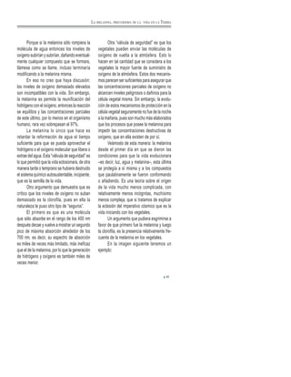 Porque si la melanina sólo rompiera la
molécula de agua entonces los niveles de
oxígeno subirían y subirían, dañando eventual-
mente cualquier compuesto que se formara,
llámese como se llame, incluso terminaría
modificando a la melanina misma.
En eso no creo que haya discusión:
los niveles de oxígeno demasiado elevados
son incompatibles con la vida. Sin embargo,
la melanina es permite la reunificación del
hidrógeno con el oxígeno, entonces la reacción
se equilibra y las concentraciones parciales
de este último, por lo menos en el organismo
humano, rara vez sobrepasan el 97%.
La melanina lo único que hace es
retardar la reformación de agua el tiempo
suficiente para que se pueda aprovechar el
hidrógeno o el oxígeno molecular que libera o
extrae del agua. Esta “válvula de seguridad” es
lo que permitió que la vida eclosionara, de otra
manera tarde o temprano se hubiera destruido
el sistema químico autosustentable, incipiente,
que es la semilla de la vida.
Otro argumento que demuestra que es
crítico que los niveles de oxígeno no suban
demasiado es la clorofila, pues en ella la
naturaleza le puso otro tipo de “seguros”.
El primero es que es una molécula
que sólo absorbe en el rango de los 400 nm
después decae y vuelve a mostrar un segundo
pico de máxima absorción alrededor de los
700 nm, es decir, su espectro de absorción
es miles de veces más limitado, más ineficaz
que el de la melanina, por lo que la generación
de hidrógeno y oxígeno es también miles de
veces menor.
Otra “válvula de seguridad” es que los
vegetales pueden enviar las moléculas de
oxígeno de vuelta a la atmósfera. Esto lo
hacen en tal cantidad que se considera a los
vegetales la mayor fuente de suministro de
oxígeno de la atmósfera. Estos dos mecanis-
mos parecen ser suficientes para asegurar que
las concentraciones parciales de oxígeno no
alcancen niveles peligrosos o dañinos para la
célula vegetal misma. Sin embargo, la evolu-
ción de estos mecanismos de protección en la
célula vegetal seguramente no fue de la noche
a la mañana, pues son mucho más elaborados
que los procesos que posee la melanina para
impedir las concentraciones destructivas de
oxígeno, que en ella existen de por sí.
Veámoslo de esta manera: la melanina
desde el primer día en que se dieron las
condiciones para que la vida evolucionara
–es decir, luz, agua y melanina–, esta última
se protegía a sí misma y a los compuestos
que paulatinamente se fueron conformando
o añadiendo. Es una teoría sobre el origen
de la vida mucho menos complicada, con
relativamente menos incógnitas, muchísimo
menos compleja, que si tratamos de explicar
la eclosión del imperativo cósmico que es la
vida iniciando con los vegetales.
Un argumento que pudiera esgrimirse a
favor de que primero fue la melanina y luego
la clorofila, es la presencia relativamente fre-
cuente de la melanina en los vegetales.
En la imagen siguiente tenemos un
ejemplo:
35
LA MELANINA, PRECURSORA DE LA VIDA EN LA TIERRA
 