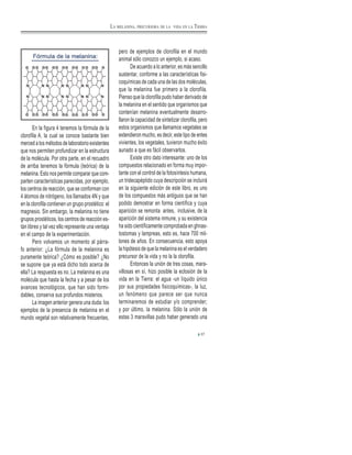 En la figura 4 tenemos la fórmula de la
clorofila A, la cual se conoce bastante bien
merced a los métodos de laboratorio existentes
que nos permiten profundizar en la estructura
de la molécula. Por otra parte, en el recuadro
de arriba tenemos la fórmula (teórica) de la
melanina. Esto nos permite comparar que com-
parten características parecidas, por ejemplo,
los centros de reacción, que se conforman con
4 átomos de nitrógeno, los llamados 4N y que
en la clorofila contienen un grupo prostético: el
magnesio. Sin embargo, la melanina no tiene
grupos prostéticos, los centros de reacción es-
tán libres y tal vez ello represente una ventaja
en el campo de la experimentación.
Pero volvamos un momento al párra-
fo anterior: ¿La fórmula de la melanina es
puramente teórica? ¿Cómo es posible? ¿No
se supone que ya está dicho todo acerca de
ella? La respuesta es no. La melanina es una
molécula que hasta la fecha y a pesar de los
avances tecnológicos, que han sido formi-
dables, conserva sus profundos misterios.
La imagen anterior genera una duda: los
ejemplos de la presencia de melanina en el
mundo vegetal son relativamente frecuentes,
pero de ejemplos de clorofila en el mundo
animal sólo conozco un ejemplo, si acaso.
De acuerdo a lo anterior, es más sencillo
sustentar, conforme a las características fisi-
coquímicas de cada una de las dos moléculas,
que la melanina fue primero a la clorofila.
Pienso que la clorofila pudo haber derivado de
la melanina en el sentido que organismos que
contenían melanina eventualmente desarro-
llaron la capacidad de sintetizar clorofila, pero
estos organismos que llamamos vegetales se
extendieron mucho, es decir, este tipo de entes
vivientes, los vegetales, tuvieron mucho éxito
aunado a que es fácil observarlos.
Existe otro dato interesante: uno de los
compuestos relacionado en forma muy impor-
tante con el control de la fotosíntesis humana,
un tridecapéptido cuya descripción se incluirá
en la siguiente edición de este libro, es uno
de los compuestos más antiguos que se han
podido demostrar en forma científica y cuya
aparición se remonta antes, inclusive, de la
aparición del sistema inmune, y su existencia
ha sido científicamente comprobada en ghnas-
tostomas y lampreas, esto es, hace 700 mil-
lones de años. En consecuencia, esto apoya
la hipótesis de que la melanina es el verdadero
precursor de la vida y no la la clorofila.
Entonces la unión de tres cosas, mara-
villosas en sí, hizo posible la eclosión de la
vida en la Tierra: el agua -un líquido único
por sus propiedades fisicoquímicas-, la luz,
un fenómeno que parece ser que nunca
terminaremos de estudiar y/o comprender;
y por último, la melanina. Sólo la unión de
estas 3 maravillas pudo haber generado una
37
LA MELANINA, PRECURSORA DE LA VIDA EN LA TIERRA
 
