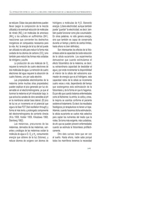 se reducen. Estas vías para electrones pueden
llevar (según la composición de la mezcla
utilizada) a la eventual reducción de moléculas
de nitrato (NO3
-) en moléculas de amoniaco
(NH3
) o los sulfatos en sulfihidrilos (SH-
),
reacciones que convierten los deshechos
inorgánicos en compuestos necesarios para
la vida. Así, la energía de la luz del sol puede
ser utilizada no sólo para reducir la forma más
oxidada de los átomos de carbono (CO2
) sino
también para reducir las formas más oxidadas
de nitrógeno y azufre.
La producción de una molécula de O2
requiere la remoción de cuatro electrones de
dos moléculas de agua. La remoción de cuatro
electrones del agua requiere la absorción de
cuatro fotones, uno por cada electrón.
Las propiedades electrolizantes de la
melanina (entre muchas otras propiedades)
pueden explicar el pico generado por luz ob-
servable en el electrorretinograma, ya que al
iluminar la melanina el pH intracelular baja, lo
que activa los canales de cloro sensibles al pH
en la membrana celular baso lateral. (El pico
de luz es un incremento en el potencial que
sigue a la fase FOT (fast oscillation through) y
forma el más lento y prolongado componente
del electrorretinograma de corriente directa
(Kris 1958, Kolder 1959, Kikadawa 1968,
Steinberg 1982).
Las melaninas, precursores de las
melaninas, derivados de las melaninas, vari-
antes y análogos de las melaninas oxidan la
molécula de agua a O, O2
y H2
, consumiendo
energía que obtiene de la luz (fotones), y
reduce átomos de oxígeno con átomos de
hidrógeno a moléculas de H2
O, liberando
energía. (Libera electricidad, aunque también
puede “guardar” la electricidad, es decir, tam-
bién puede funcionar como pila o acumulador.
En otras palabras, no sólo genera energía,
sino que también es capaz de conservarla
durante un tiempo y dentro de ciertos límites,
hasta ahora no bien definidos).
Son interesantes los efectos de la foto-
síntesis sobre la capacidad de óxido-reducción
de la célula eucarionte. Los experimentos
demuestran que cuando estimulamos el
efecto fotosintético de la melanina, es decir,
su extraordinaria capacidad de desdoblar el
agua y por ende incrementar la disponibilidad
al interior de la célula del valiosísimo aca-
rreador de energía que es el hidrógeno, esta
capacidad redox de la célula se incrementa
cuatro veces o más, dependiendo del tiempo
que sostengamos esta estimulación de la
fotosíntesis y de la forma en que lo hagamos.
Es por ello que cuando tratamos enfermedades
como el Alzheimer, la artritis, la colitis y otras,
la mejoría se acentúa conforme el paciente
sostiene el tratamiento. Es decir, los resultados
fisiológicos y/o terapéuticos no tienen un tope.
Además, cuando hacemos dicha estimulación,
la célula eucarionte se vuelve más selectiva
para captar los nutrientes del medio que la
rodea. Se torna más exigente, más cuidadosa,
de ahí que se pueden prevenir enfermedades
cuando se estimula la fotosíntesis profilácti-
camente.
Otro dato curioso tiene que ver con
el sueño. Hasta ahora, nadie sabe porqué
todos los mamíferos tenemos la necesidad
49
LA INTERACCIÓN ENTRE EL AGUA Y LA MELANINA COMO RESULTADO DE LA IRRADIACIÓN ELECTROMAGNÉTICA
 