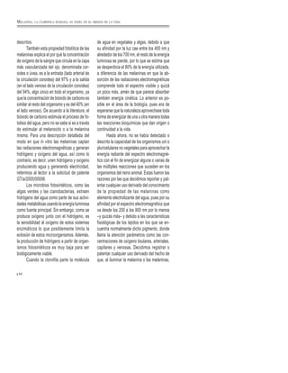 descritos.
También esta propiedad fotolítica de las
melaninas explica el por qué la concentración
de oxígeno de la sangre que circula en la capa
más vascularizada del ojo, denominada cor-
oides o úvea, es a la entrada (lado arterial de
la circulación coroidea) del 97% y a la salida
(en el lado venoso de la circulación coroidea)
del 94%, algo único en todo el organismo, ya
que la concentración de bióxido de carbono es
similar al resto del organismo y es del 40% (en
el lado venoso). De acuerdo a la literatura, el
bióxido de carbono estimula el proceso de fo-
tolisis del agua, pero no se sabe si es a través
de estimular al melanocito o a la melanina
misma. Para una descripción detallada del
modo en que in vitro las melaninas captan
las radiaciones electromagnéticas y generan
hidrógeno y oxígeno del agua, así como lo
contrario, es decir, unen hidrógeno y oxígeno
produciendo agua y generando electricidad,
referimos al lector a la solicitud de patente
GT/a/2005/00006.
Los microbios fotosintéticos, como las
algas verdes y las cianobacterias, extraen
hidrógeno del agua como parte de sus activi-
dades metabólicas usando la energía luminosa
como fuente principal. Sin embargo, como se
produce oxígeno junto con el hidrógeno, es
la sensibilidad al oxígeno de estos sistemas
enzimáticos lo que posiblemente limita la
eclosión de estos microorganismos. Además,
la producción de hidrógeno a partir de organ-
ismos fotosintéticos es muy baja para ser
biológicamente viable.
Cuando la clorofila parte la molécula
de agua en vegetales y algas, debido a que
su afinidad por la luz cae entre los 400 nm y
alrededor de los 700 nm, el resto de la energía
luminosa se pierde, por lo que se estima que
se desperdicia el 80% de la energía utilizada,
a diferencia de las melaninas en que la ab-
sorción de las radiaciones electromagnéticas
comprende todo el espectro visible y quizá
un poco más, amén de que parece absorber
también energía cinética. Lo anterior es po-
sible en el área de la biología, pues era de
esperarse que la naturaleza aprovechase toda
forma de energizar de una u otra manera todas
las reacciones bioquímicas que dan origen o
continuidad a la vida.
Hasta ahora, no se había detectado o
descrito la capacidad de los organismos uni o
pluricelulares no vegetales para aprovechar la
energía radiante del espectro electromagné-
tico con el fin de energizar alguna o varias de
las múltiples reacciones que suceden en los
organismos del reino animal. Estas fueron las
razones por las que decidimos reportar y pat-
entar cualquier uso derivado del conocimiento
de la propiedad de las melaninas como
elemento electrolizante del agua, pues por su
afinidad por el espectro electromagnético que
va desde los 200 a los 900 nm por lo menos
–y quizás más– y debido a las características
fisiológicas de los tejidos en los que se en-
cuentra normalmente dicho pigmento, donde
llama la atención parámetros como las con-
centraciones de oxígeno tisulares, arteriales,
capilares y venosas. Decidimos registrar o
patentar cualquier uso derivado del hecho de
que, al iluminar la melanina o las melaninas,
58
MELANINA, LA CLOROFILA HUMANA, SU PAPEL EN EL ORIGEN DE LA VIDA
 