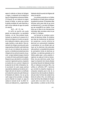 separa la molécula en átomos de hidrógeno
y oxígeno. La separación de la molécula de
agua por fotopigmentos se denomina fotólisis.
La formación de una molécula de oxígeno
durante la fotólisis, se piensa que requiere
la pérdida simultánea de cuatro electrones a
partir de dos moléculas de agua de acuerdo
a la reacción:
2H2
O → 4H+
+ O2
+ 4e~
Un centro de reacción sólo puede
generar una carga positiva, o su equivalente
oxidante, a la vez. Este problema hipoté-
ticamente se resuelve por la presencia de 4
átomos de nitrógeno en el centro de reacción
de la molécula de melanina, cada uno de los
cuales transfiere un solo electrón. Esta con-
centración de nitrógeno acumula quizá cuatro
cargas positivas al transferir cuatro electrones
(uno a la vez) a la molécula más cercana de
quinona. La transferencia de electrones de los
nitrógenos de los centros de reacción a la qui-
nona+, se logra mediante el pasaje a través de
un residuo de tirosina positivamente cargado.
Después de que cada electrón es transferido
a quinona+ regenerando quinona, el pigmento
se reoxida (otra vez a quinona+
) después de
la absorción de otro fotón al fotosistema. Así,
la acumulación de cuatro cargas positivas
(equivalentes oxidantes) por los átomos de ni-
trógeno del centro de reacción, es modificado
por la absorción sucesiva de cuatro fotones por
el fotosistema de melanina. Una vez que las
cuatro cargas se han acumulado, el complejo
quinona liberador de oxígeno es capaz de
catalizar la remoción de 4e~ de 2EbO, for-
mando una molécula de O2
, y regenerando el
totalmente reducido acumulo de nitrógenos del
centro de reacción.
Los protones producidos en la fotólisis
son liberados en el medio donde contribuyen
al gradiente de protones. El fotosistema debe
iluminarse varias veces antes de que ocurra
una liberación de O2
y, por ende, de hidrógeno
que sea susceptible de ser medido, lo que
indica que el efecto de las fotorreacciones
individuales debe acumularse antes de que
se libere O2
e hidrógeno .
Las quinonas se consideran acarre-
adores de electrones móviles. No olvidemos
que todas las transferencias de electrones
son exergónicas y ocurren conforme los
electrones son sucesivamente trasladados
a acarreadores con una afinidad cada vez
mayor por los electrones (más potenciales
redox positivos). La necesidad de la presencia
de acarreadores móviles de electrones es
manifiesta. Los electrones generados por la
fotólisis pueden pasar a varios aceptores in-
orgánicos, los cuales por lo tanto se reducen.
Estas vías para electrones pueden llevar
(según la composición de la mezcla utilizada)
a la eventual reducción de moléculas de nitrato
(NO3
) en moléculas de amoniaco (NH3
) o los
sulfatos en sulfihidrilos (SFT), reacciones
que convierten los desechos inorgánicos en
compuestos necesarios para la vida. Así, la
energía de la luz del sol puede ser utilizada no
sólo para reducir la forma más oxidada de los
átomos de carbono (CO2
), sino también para
reducir las formas más oxidadas de nitrógeno
y azufre, tanto in vivo como in vitro, con ven-
tajas evidentes. Lo anterior se citó en forma
63
IMPACTO DE LA FOTOSÍNTESIS HUMANA EN OTRAS ÁREAS DEL CONOCIMIENTO
 