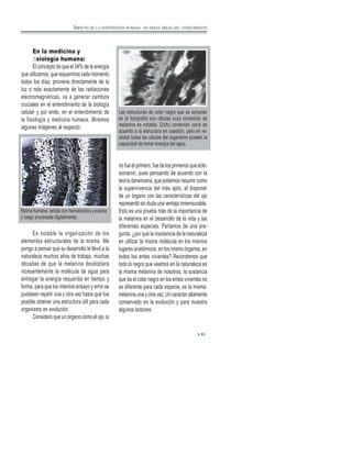 En la medicina y
ﬁsiología humana:
El concepto de que el 34% de la energía
que utilizamos, que requerimos cada momento
todos los días, proviene directamente de la
luz o más exactamente de las radiaciones
electromagnéticas, va a generar cambios
cruciales en el entendimiento de la biología
celular y por ende, en el entendimiento de
la fisiología y medicina humana. Miremos
algunas imágenes al respecto:
Es notable la organización de los
elementos estructurales de la misma. Me
pongo a pensar que su desarrollo le llevó a la
naturaleza muchos años de trabajo, muchas
décadas de que la melanina desdoblara
incesantemente la molécula de agua para
entregar la energía requerida en tiempo y
forma, para que los intentos ensayo y error se
pudiesen repetir una y otra vez hasta que fue
posible obtener una estructura útil para cada
organismo en evolución.
Considero que un órgano como el ojo, si
no fue el primero, fue de los primeros que eclo-
sionaron, pues pensando de acuerdo con la
teoría darwiniana, que podemos resumir como
la supervivencia del más apto, el disponer
de un órgano con las características del ojo
representó sin duda una ventaja inmensurable.
Esto es una prueba más de la importancia de
la melanina en el desarrollo de la vida y las
diferentes especies. Partamos de una pre-
gunta, ¿por qué la insistencia de la naturaleza
en utilizar la misma molécula en los mismos
lugares anatómicos, en los mismo órganos, en
todos los entes vivientes? Recordemos que
todo lo negro que veamos en la naturaleza es
la misma melanina de nosotros, la sustancia
que da el color negro en los entes vivientes no
es diferente para cada especie, es la misma:
melanina una y otra vez. Un carácter altamente
conservado en la evolución y para muestra
algunos botones:
Retina humana, teñida con hematoxilina y eosina
y luego procesada digitalmente.
Las estructuras de color negro que se aprecian
en la fotografía son células cuyo contenido de
melanina es notable. Dicho contenido varía de
acuerdo a la estructura en cuestión, pero en re-
alidad todas las células del organismo poseen la
capacidad de tomar energía del agua.
89
IMPACTO DE LA FOTOSÍNTESIS HUMANA EN OTRAS ÁREAS DEL CONOCIMIENTO
 