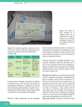 Segunda parte
108
Figura 112. Semilla de
frejol certificada de la
categoría básica para su
multiplicación en otras ca-
tegorías por semilleristas
autorizadas. Programa Fre-
jol, El Vallecito. (Choque V.
& Padilla J.).
tienen reacciones diferentes cuando se realizan las
siembras en las dos épocas, por ejemplo en la zona
de los Valles en primavera y verano la presión de la
roya de frejol es más severo y no así en la zona de los
llanos en la época de invierno.
Ante esta situación las variedades tolerantes y sus-
ceptibles manifiestan reacciones diferentes, por lo
que es muy importante conocer los principales pa-
tógenos y la tolerancia que presentan las variedades,
además se tener muy en cuenta las épocas y fechas
de siembra. (Figura 114).
Rotación de cultivos, es una práctica que permite
reducir la población de especies consideradas pla-
gas, por ejemplo, como el frejol se siembra en in-
vierno en la zona de los llanos se sugiere rotar con
gramíneas como el maíz y arroz que son cultivos de
verano en la zona de los llanos de Santa Cruz y en
los valles con hortalizas y otros cultivos como el
maíz, papa, entre los principales. Esta práctica de
rotaciones permite reducir poblaciones de malezas,
insectos y el inóculo de los principales patógenos
que causan enfermedades en el cultivo de frejol.
Época de siembra, la época de siembra de frejol
Nombre
comercial
Cepa de la
bacteria
Especie de
la bacteria
Dosis por 100
kg de semilla
Fertimax
turba para
frejol
SEMIA 2667
Rhizobium
leguminosarum
biovar phaseoli
Aplicar en
mezcla de las
dos cepas 200
g de SEMIA
2667 + 200
g de la cepa
SEMIA 4077
SEMIA 4077
Rhizobium
tropici
N2
Inoculante
para frejol
CIAT 632
Rhizobium
leguminosarum
biovar phaseoli
500 g
Cuadro 12. Inoculantes sugeridos y utilizados en el cul-
tivo de frejol, nombres comerciales, bacteria simbiótica y
dosis de los productos. CIAT, 2012 & INDUSTRIAS
LUCANO, 2008.
en frejol existen variedades comerciales que difieren
en tamaño, forma y color de grano, por ejemplo la
variedad Blanco Othebo es susceptible a la roya del
frejol (Uromyces appendiculatus), en cambio las va-
riedades Rojo Oriental, Negro Chané y Negro Sequía
son tolerantes a las principales enfermedades.
Además se debe comprender que las variedades
 