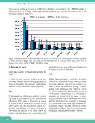16
PRIMERa parte
6. Botánica del frejol
Morfología y partes principales de la planta de
frejol
La planta de frejol común es herbácea, anual, de-
pendiendo del hábito de crecimiento, puede alcanzar
alturas de dos metros; las principales características
botánicas se describen a continuación. (Figura 3).
Raíz
El sistema radicular está formado por la raíz primaria
o principal que se desarrolla a partir de la radícula
del embrión. Sobre esta y en disposición de corona
se forman las raíces secundarias, terciarias y otras
subdivisiones; Los pelos absorbentes, órganos epi-
dérmicos especializados en la absorción de agua y
nutrimentos, se localizan en las partes jóvenes de
las raíces laterales, donde viven en simbiosis con la
planta bacterias del género Rhizobium fijadoras del
nitrógeno atmosférico. (Figura 4).
Tallo
El tallo joven es herbáceo y semileñoso al final del
ciclo; es una sucesión de nudos y entrenudos donde
se insertan las hojas y los diversos complejos axi-
lares, el tallo o eje principal es de mayor diámetro
que las ramas laterales, de color verde rosa o mora-
do, glabro o pubescente, determinado si termina en
inflorescencia o indeterminado si su yema apical es
vegetativa, en la inserción de las raíces y el primer
nudo corresponde al de los cotiledones, esta primera
parte del tallo se denomina hipocótilo, en el segundo
nudo se inserta el primer par de hojas verdaderas, las
cuales son simples y opuestas y reciben el nombre
de epicótilo, en el tercer nudo emerge la primer hoja
compuesta, las cuales son trifoliadas y alternas.
Figura 2. Principales países exportadores de frejol en el año 2010, volúmenes en toneladas y valor monetario expresado
en dólares americanos. Según Trade Map, citado por el Instituto Boliviano de Comercio Exterior (IBCE) 2011. Perfil de
Mercado, frejol común, Edición Nº 6/2011. Santa Cruz Bolivia.
Bolivia exportó un total aproximado de 35,43 millones de dólares americanos en valor y 44.377 toneladas en
volumen en el año 2010,donde fue el octavo mayor exportador de frejol común en el mundo durante el año
mencionado, según el IBCE 2011.
0,00
100,00
200,00
300,00
400,00
500,00
600,00
700,00
800,00
757,87
238,93
123,03
119,28
74,70
42,25
46,29
44,30
534,53
193,18
120,46
94,29
49,84
42,18
42,20
35,43
Miles de toneladas Millones de $us Americanos
 