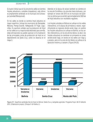 Segunda parte
38
Es bueno indicar que en la zona de los valles se siembra
frejoles arbustivos y volubles (trepadores), este último
es ampliamente sembrado en el municipio de Comara-
pa (variedad Blanquiscal).
En los valles es donde se siembra frejol arbustivo en
mayor superficie, incluye los municipios de Samaipata,
Mairana, Pampa Grande, Vallegrande, El Trigal, Lagu-
nillas. Es oportuno señalar que la producción de frejol
en los valles en su mayoría está destinado para semilla,
estas afirmaciones se pueden apreciar en la ilustración
de las principales zonas de producción de frejol en el
departamento de Santa Cruz, como se observa en el
mapa 3.
Además en la época de verano también se siembra en
la zona de Cordillera o la zona del chaco boliviano, por
ejemplo en verano del 2013 en el municipio de Gutié-
rrez se estima que se sembró aproximadamente 500 has
de frejol arbustivo con resultados regulares.
Los frejoles volubles en Bolivia se cultivan en los valles
interandinos, en la época de primavera y verano, espe-
cíficamente en regiones donde existe riego, en cambio
los frejoles arbustivos se cultivan en Bolivia, en los va-
lles interandinos y en la zona de los llanos; es decir, los
frejoles arbustivos se siembran en primavera en zonas
donde existe riego, en verano en los valles con riego y
a secano, pero en la zona de los llanos se cultiva en la
época de invierno y a secano. (Figura 24-25).
Figura 21. Superficie sembrada (ha) de frejol en Bolivia, Santa Cruz y campañas agrícolas. Programa Frejol, IIA El Vallecito
2012. (Elaboración propia). (Choque V. & Padilla J.).
0
10000
20000
30000
40000
50000
60000
Verano e
Invierno
Verano Invierno Verano
Bolivia Santa Cruz Resto del País
58000
5000
46000
7000
 