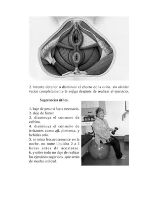 2. Intente detener o disminuir el chorro de la orina, sin olvidar
vaciar completamente la vejiga después de realizar el ejercicio.

       Sugerencias útiles.

1. baje de peso si fuera necesario.
2. deje de fumar.
3. disminuya el consumo de
cafeina.
4. disminuya el consumo de
irritantes como ají, pimienta, y
bebidas cola.
5. si orina frecuentemente en la
noche, no tome líquidos 2 a 3
horas antes de acostarse.
6. y sobre todo no deje de realizar
los ejercicios sugeridos , que serán
de mucha utilidad.
 
